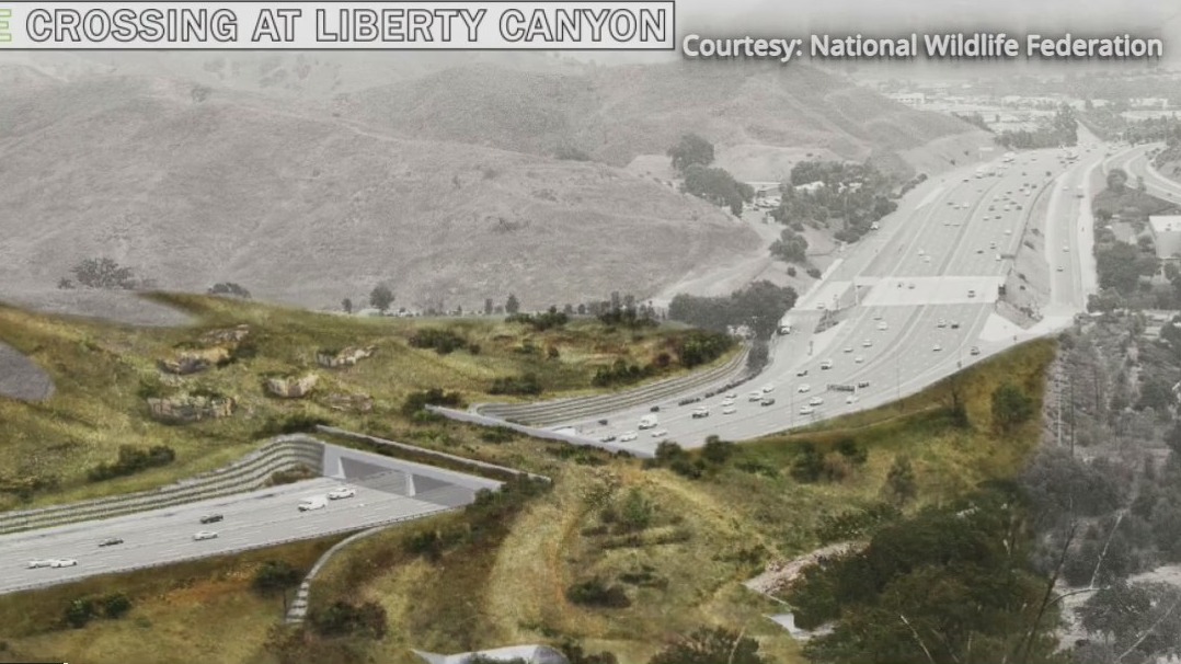 Groundbreaking set for 101 freeway wildlife crossing